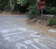 Loops cut into pavement, Franklin Canyon - click 
to enlarge